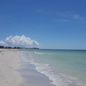 Meet your Posher, Alisha